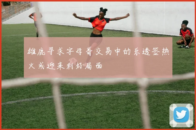 雄鹿寻求字母哥交易中的乐透签热火或迎来利好局面