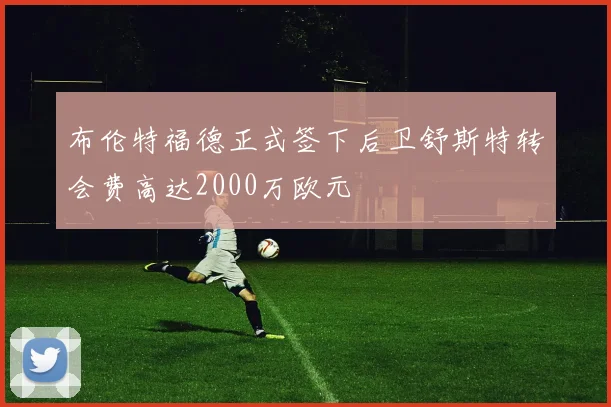 布伦特福德正式签下后卫舒斯特转会费高达2000万欧元
